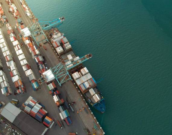 pexels-rafael-de-campos-4256976